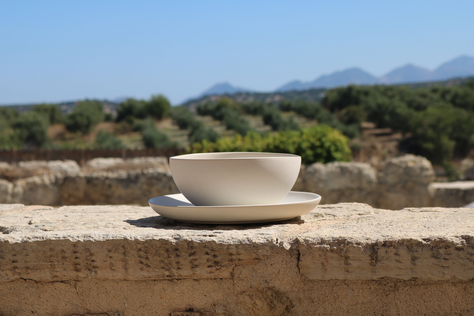 Dinner plate and bowl set
